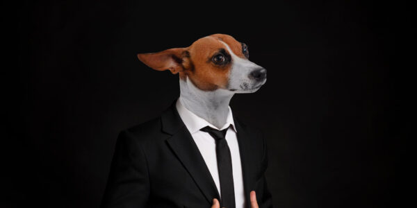 Ten things dogs can teach us about business…and life-img