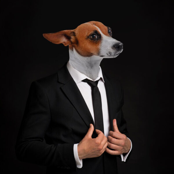 Ten things dogs can teach us about business…and life-img