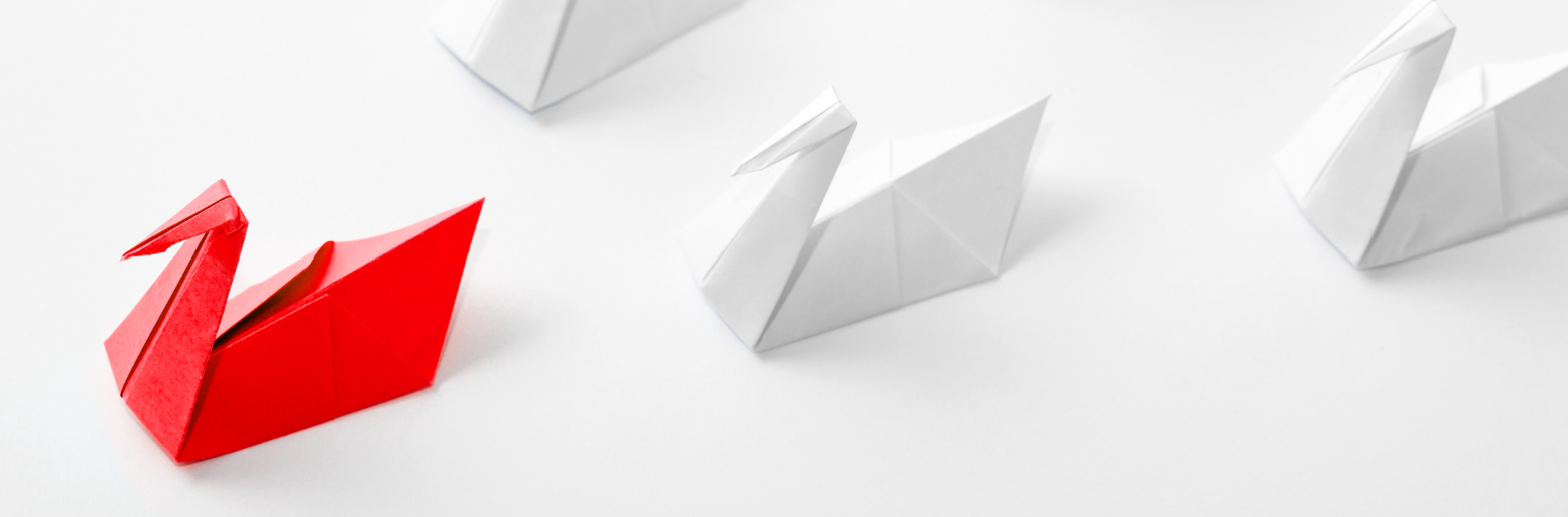 Why Letting Go Is the Key to Growing Your Business-img