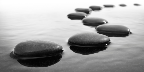 Finding the Right ‘Next Step’ for Your Business-img